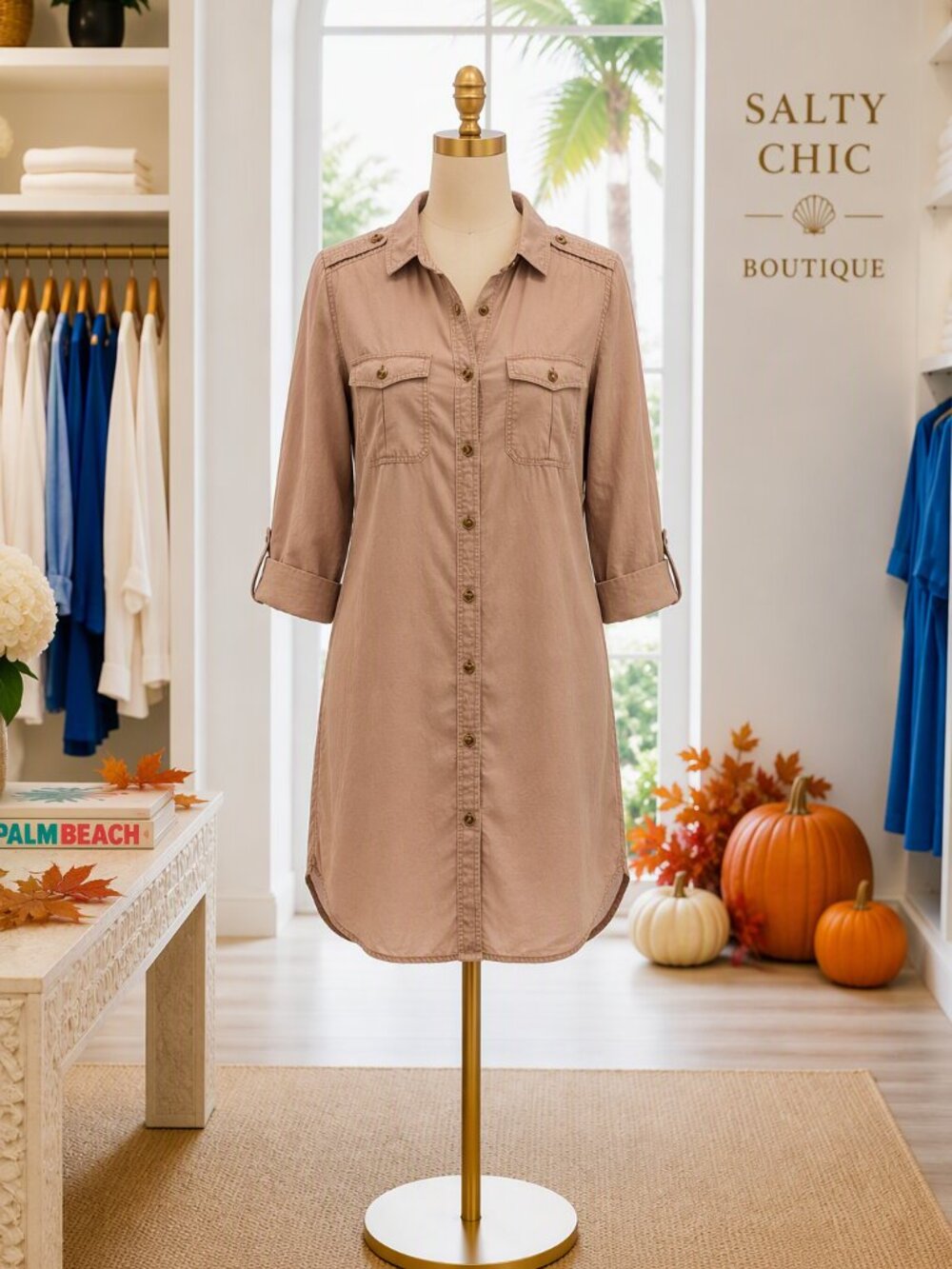 American Eagle Outfitters Blush Button-Front Mini Shirt Dress